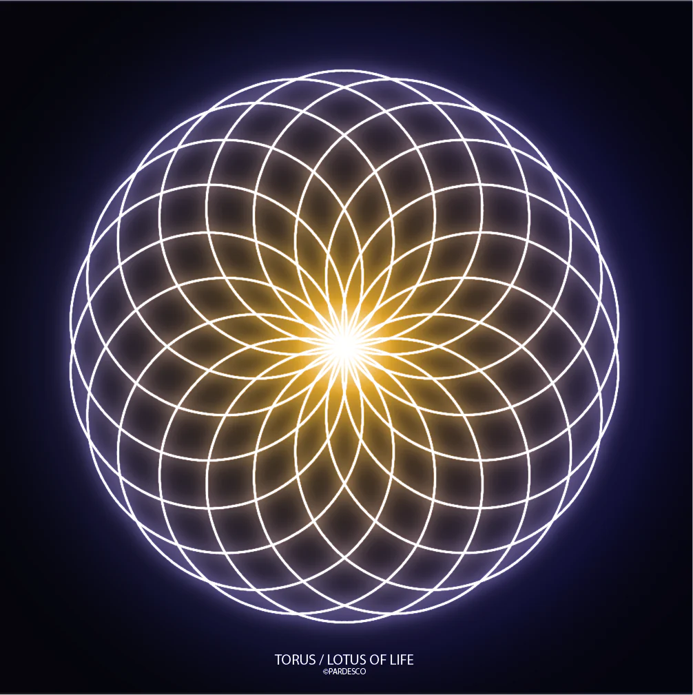 Torus Lotus of Life Symmetrical Geometry